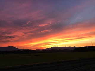 IMG_1418.jpg