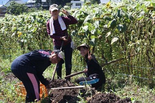 IMG_2461.JPG
